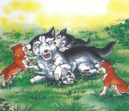 Detail Suzaku and Hiromi's pups