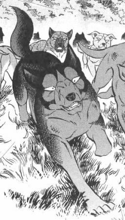 Detail Kazuma