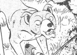 Detail Akira