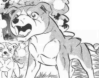 Detail Koichi