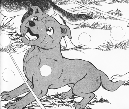 Detail Kouji