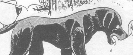 Detail Kuro