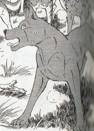 Detail Genshiro