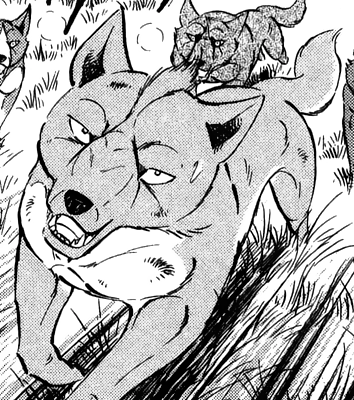 Detail Tsukikage