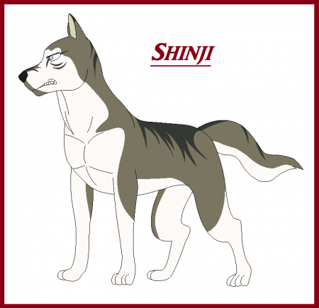 Detail Shinji