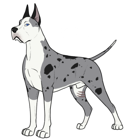 Detail King