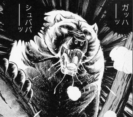 Detail Hybrid Grizzly Bear