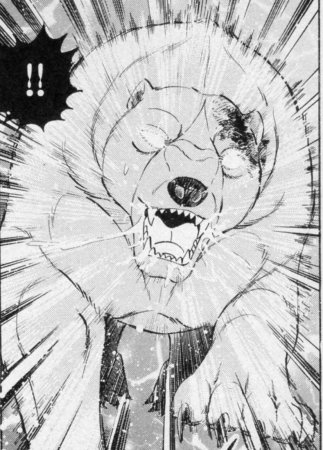 Detail Hybrid Polar Bear