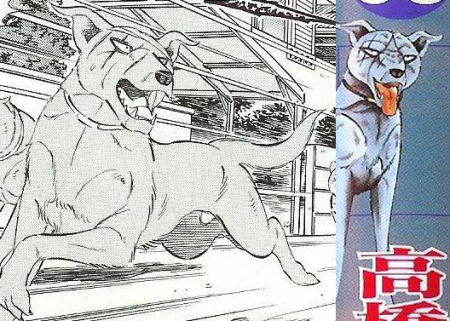 Detail Liger