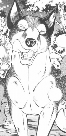 Detail Yusuke