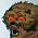 The Monster/P4