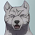 Kyoushiro