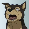 Shingo
