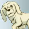 Cross' pups