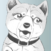 Chako