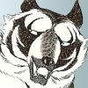 Raiga