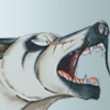 Mukonga