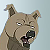 Hachi