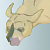 Raou