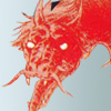 Jaryuki