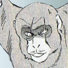 Akazaru