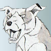 Nobushige