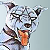 Liger