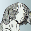 Foxhound spy (lighter)