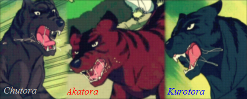 Kai Brothers
