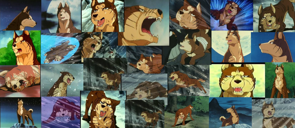 riki