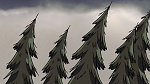 Gravity Falls Season 1 picture