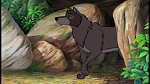Image The Jungle Book