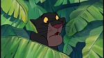 Image The Jungle Book