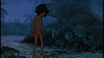 Image The Jungle Book