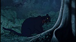 The Jungle Book picture