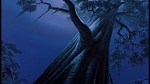 Image The Jungle Book