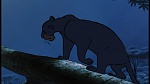 Image The Jungle Book