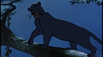 Image The Jungle Book