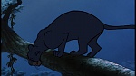 Image The Jungle Book
