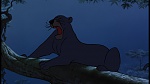 Image The Jungle Book