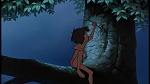 Image The Jungle Book