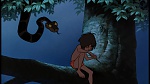 The Jungle Book picture