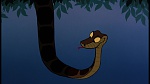 Image The Jungle Book