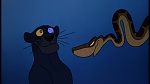 Image The Jungle Book