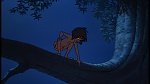 Image The Jungle Book