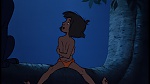 Image The Jungle Book