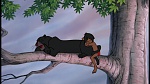 Image The Jungle Book