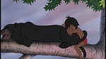 The Jungle Book picture