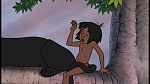 Image The Jungle Book