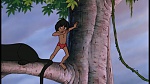 Image The Jungle Book
